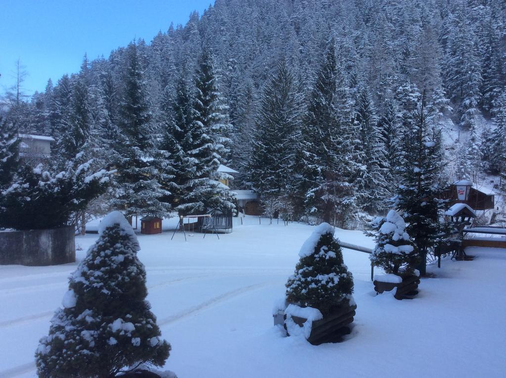 Hotel Alpina Regina Biberwier Dış mekan fotoğraf